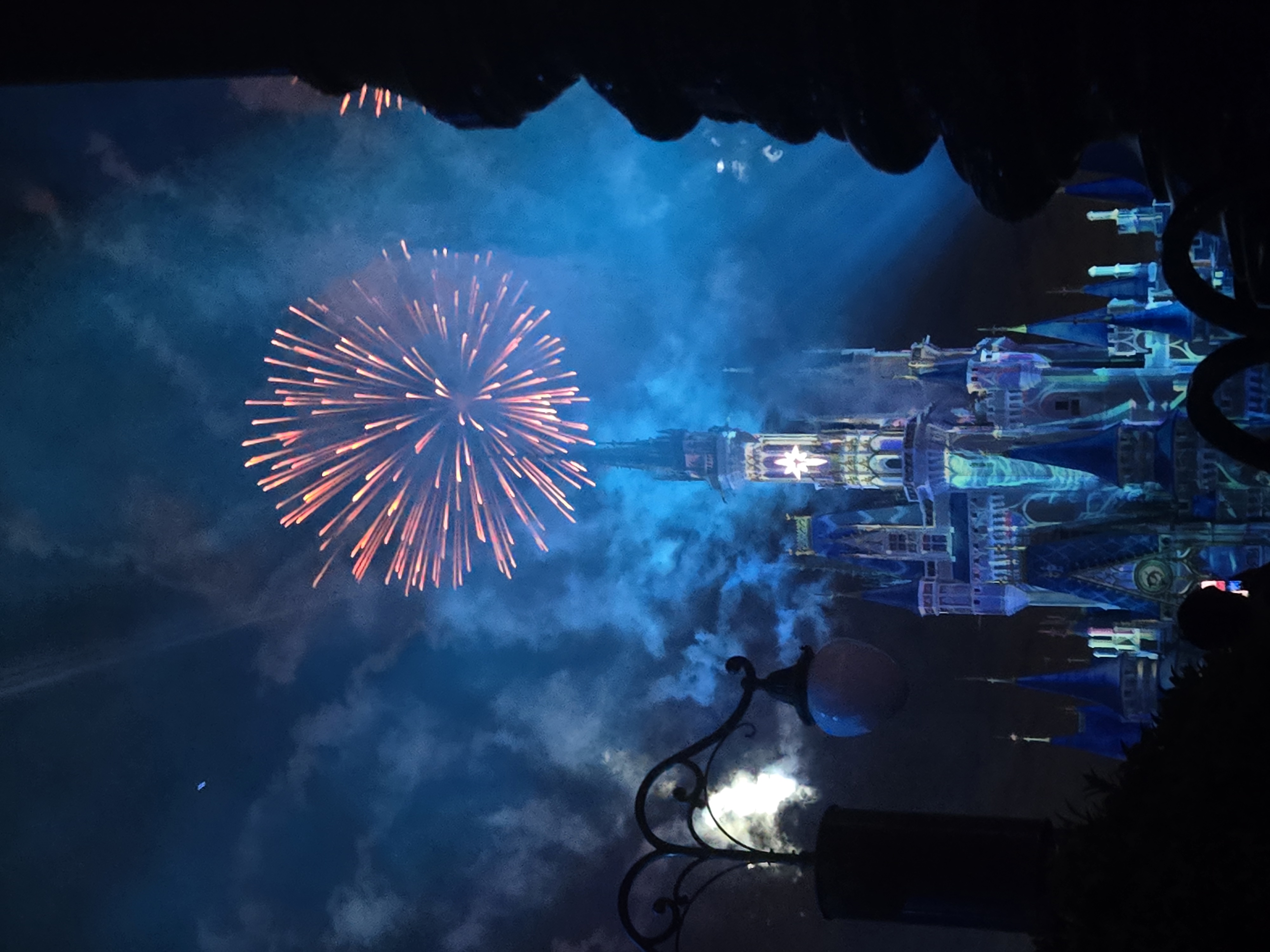 Walt Disney World