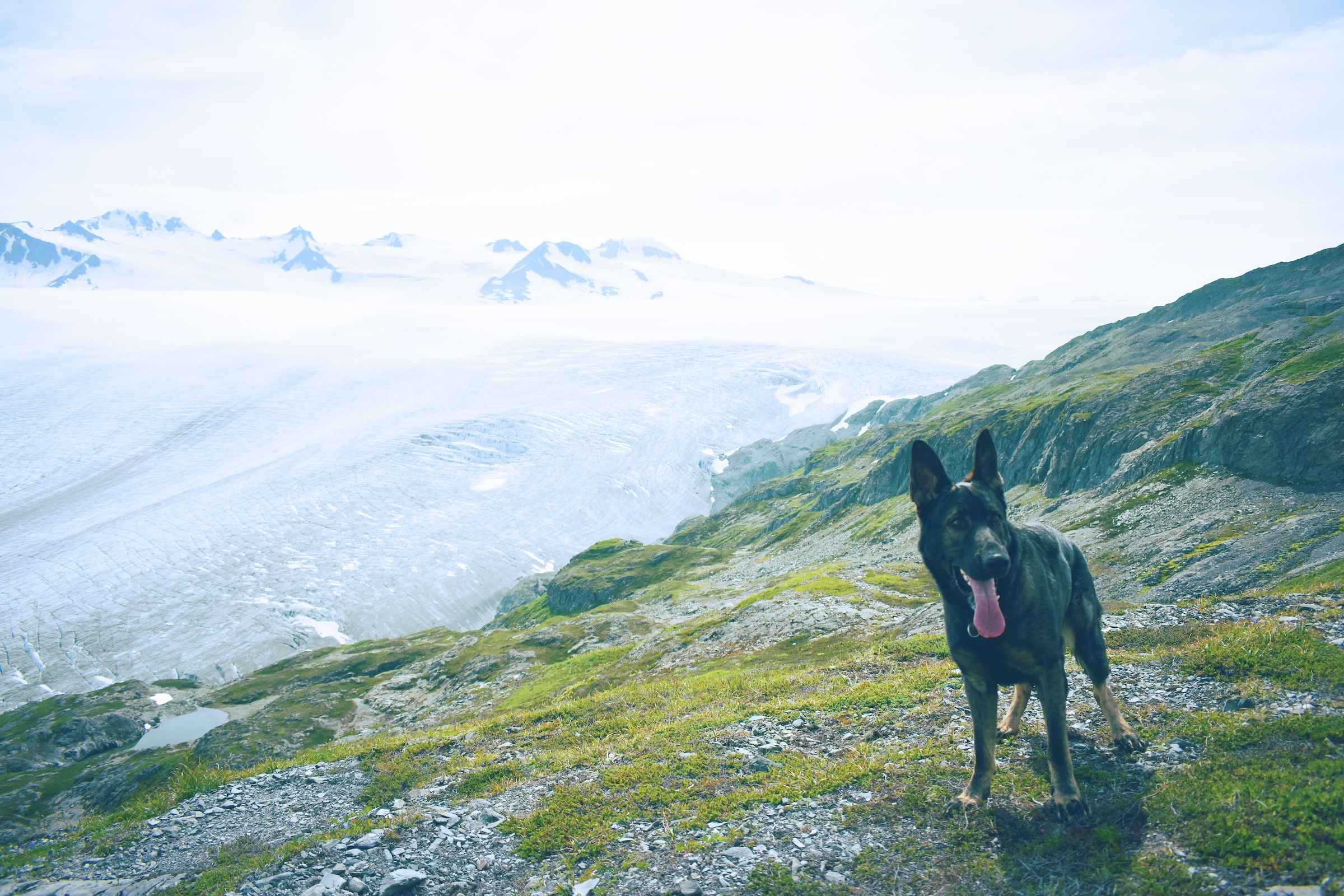 Alaskan Adventure!