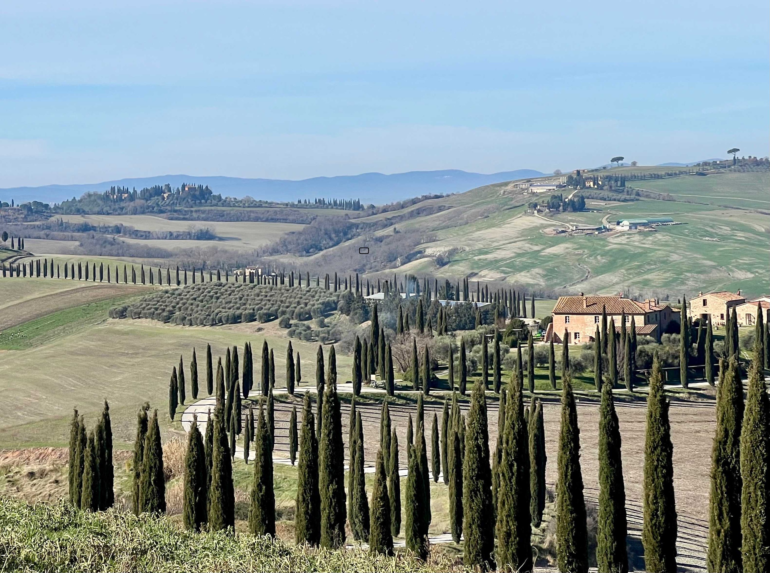 7 - Day Trip Back to Florence.