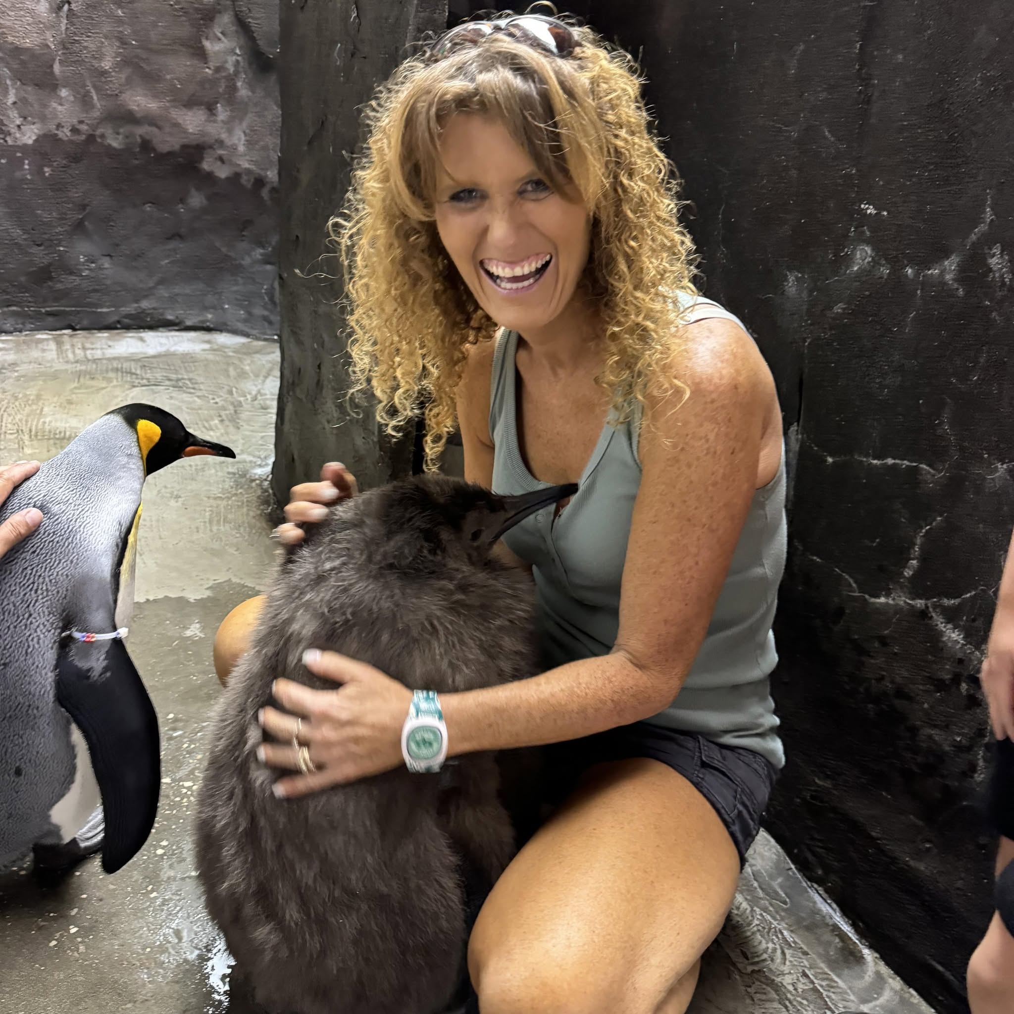 Penguin Cuddles & Unforgettable Memories