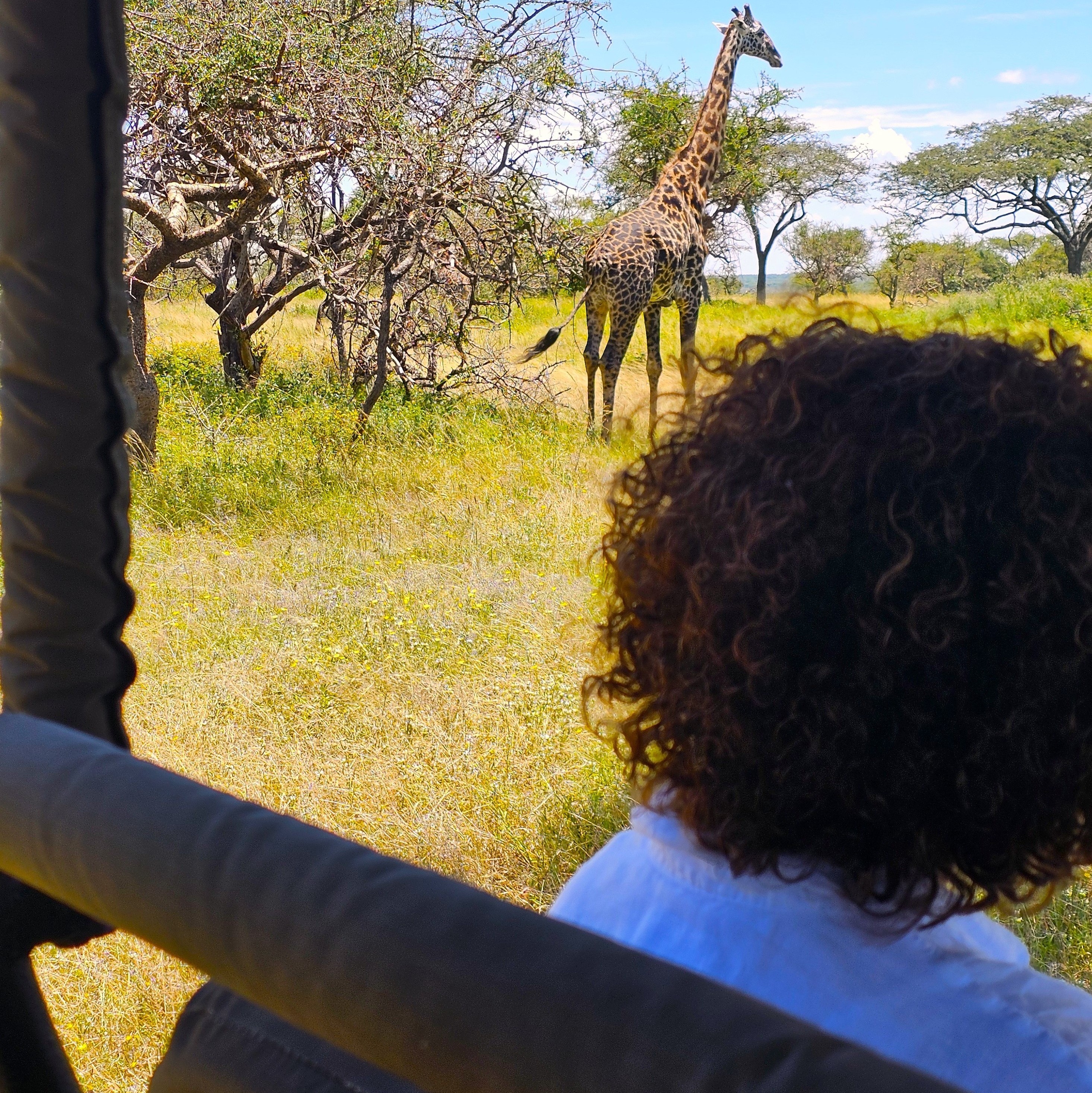 8 Day Tanzania Safari